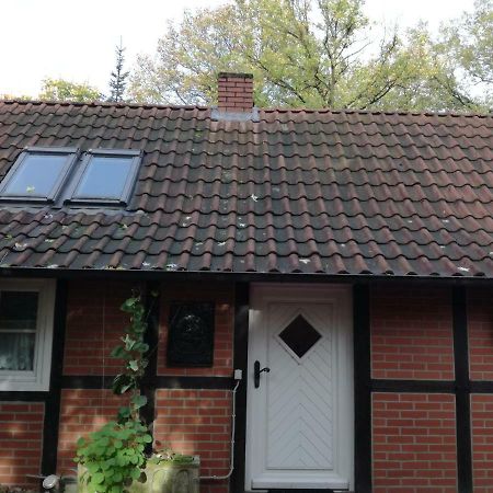 Ferienhaus In Rumke Bippen Zewnętrze zdjęcie