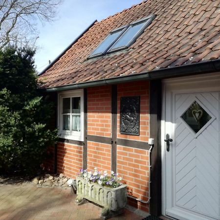Ferienhaus In Rumke Bippen Zewnętrze zdjęcie