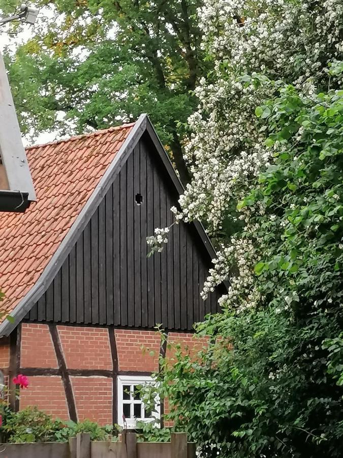 Ferienhaus In Rumke Bippen Zewnętrze zdjęcie