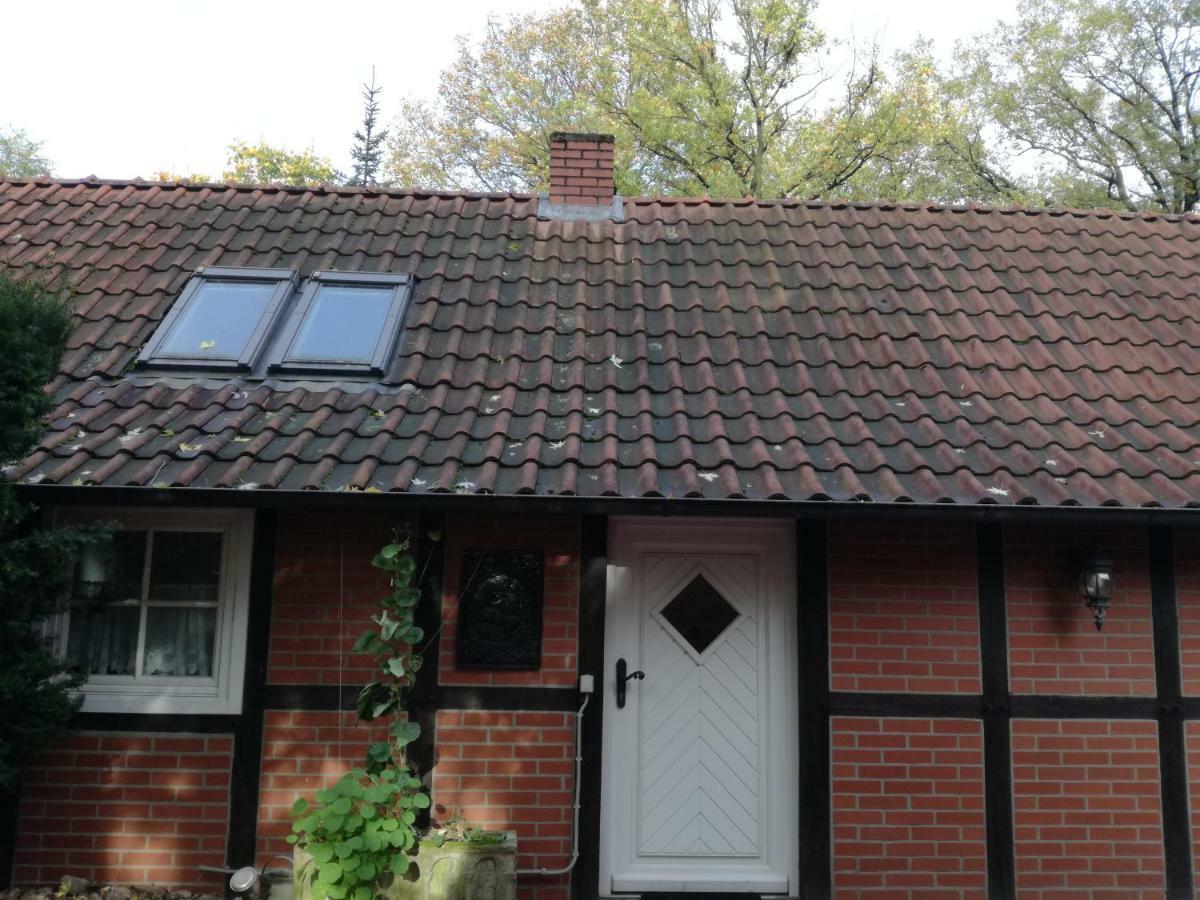 Ferienhaus In Rumke Bippen Zewnętrze zdjęcie
