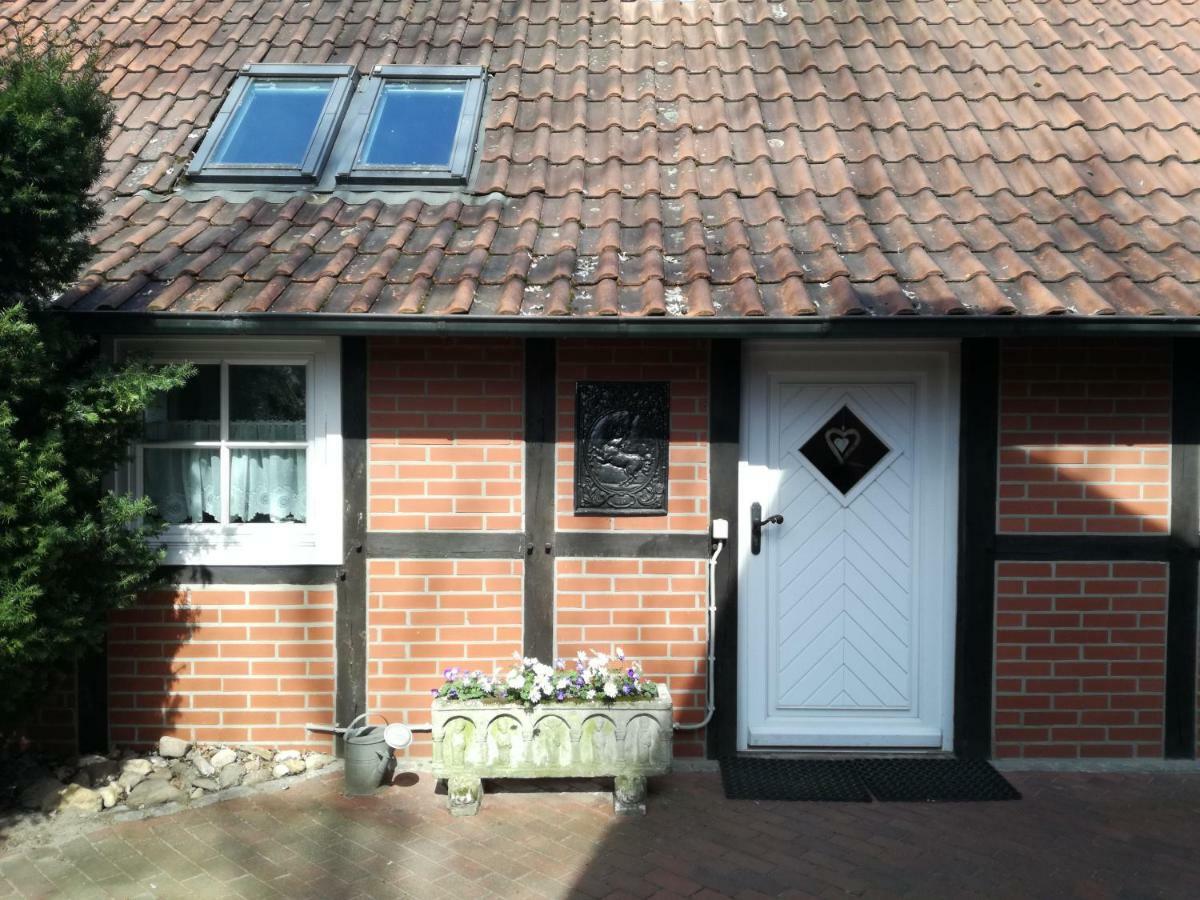 Ferienhaus In Rumke Bippen Zewnętrze zdjęcie
