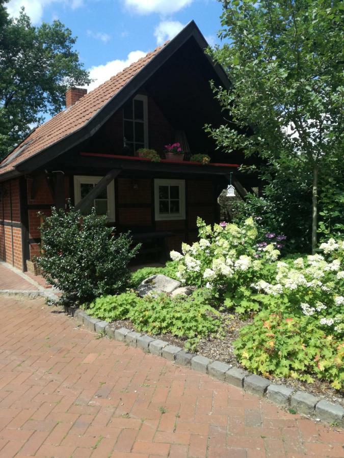 Ferienhaus In Rumke Bippen Zewnętrze zdjęcie